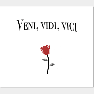 Veni Vidi Vici Posters and Art